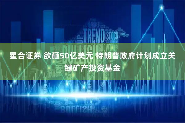 星合证券 欲砸50亿美元 特朗普政府计划成立关键矿产投资基金