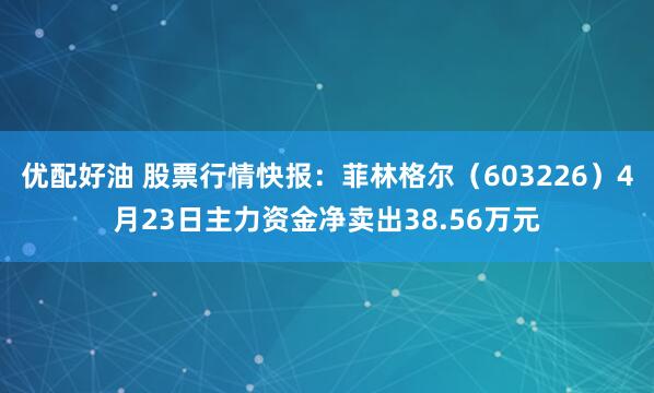 优配好油 股票行情快报：菲林格尔（603226）4月23日主力资金净卖出38.56万元