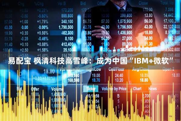 易配宝 枫清科技高雪峰：成为中国“IBM+微软”