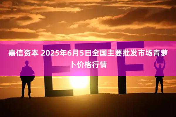 嘉信资本 2025年6月5日全国主要批发市场青萝卜价格行情