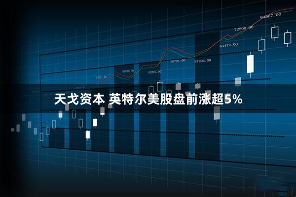 天戈资本 英特尔美股盘前涨超5%