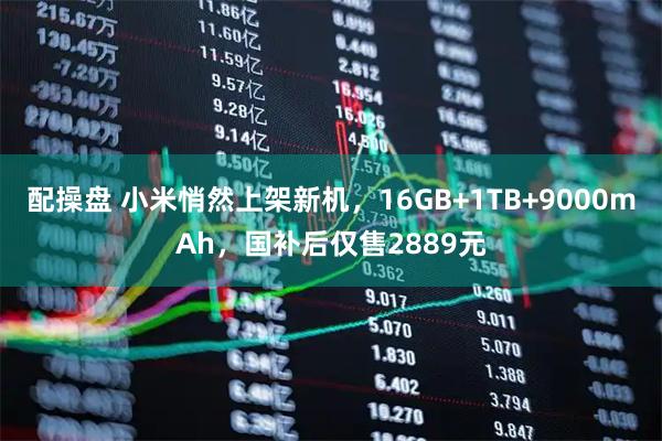 配操盘 小米悄然上架新机,16GB+1TB+9000mAh,国补后仅售2889元