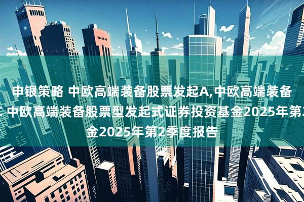 申银策略 中欧高端装备股票发起A,中欧高端装备股票发起C 中欧高端装备股票型发起式证券投资基金2025年第2季度报告