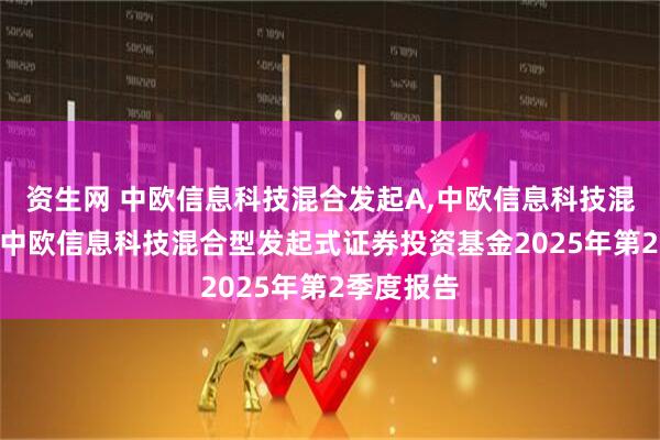 资生网 中欧信息科技混合发起A,中欧信息科技混合发起C 中欧信息科技混合型发起式证券投资基金2025年第2季度报告