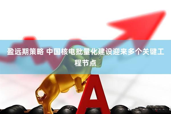 盈远期策略 中国核电批量化建设迎来多个关键工程节点